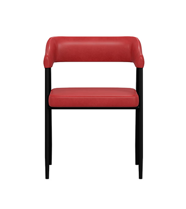 Buy Regal DINING/ CAFE/ VISITOR CHAIR Metal Dining/cafe/Visitor chair II CAFÉ CHAIR-201 Online at Best Price