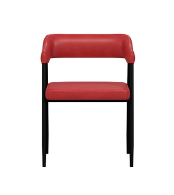 Buy Regal DINING/ CAFE/ VISITOR CHAIR Metal Dining/cafe/Visitor chair II CAFÉ CHAIR-201 Online at Best Price