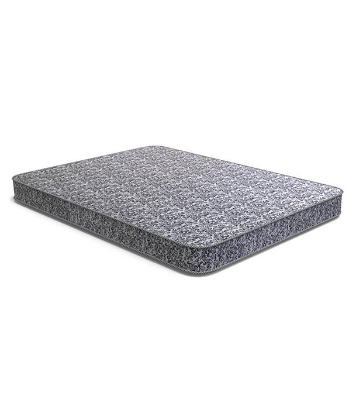 Regal SLEEPY KING MATTRESS SLEEPY KING MATTRESS (M-301)