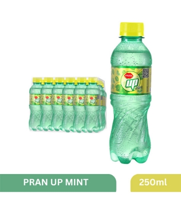 Picture of PRAN Up Mint 250 ml 24 pcs
