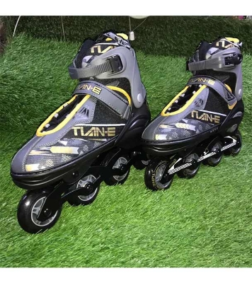 Picture of TIAN-E inline skating shoes (35-45)