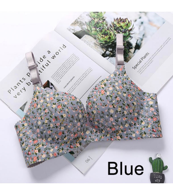 Picture of Premium Floral Push Up Seamless Printed Bra for Women - Bra Blue