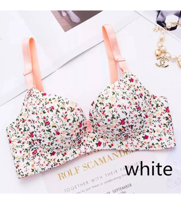 Picture of Premium Floral Push Up Seamless Printed Bra for Women - Bra White