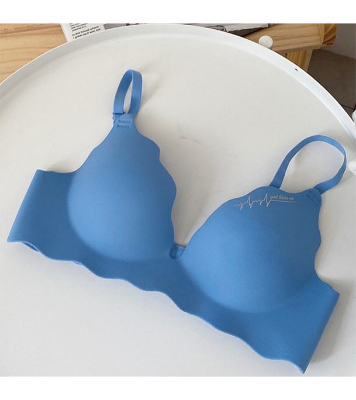 Picture of Importedd Premium Stylish New Design Padded Push Up Bra for Women-One Piece Blue