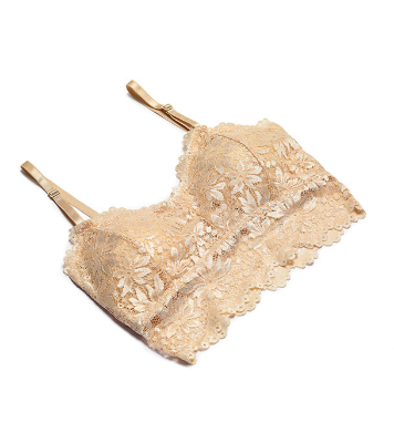 Picture of Stylish Comfortable Lace Padded Bra for Women Skin