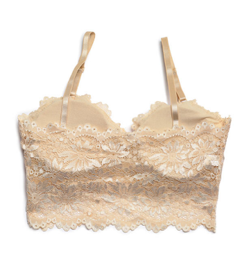 Picture of Stylish Comfortable Lace Padded Bra for Women Skin