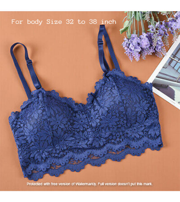 Picture of Stylish Comfortable Lace Padded Bra for Women Blue