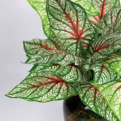 Picture of বাড়ির জন্য টব সহ কৃত্রিম উজ্জ্বল সবুজ গাছের পাতা - artificial flower