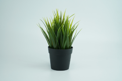 Picture of Artificial Plotted Plant - Home Decoration Item