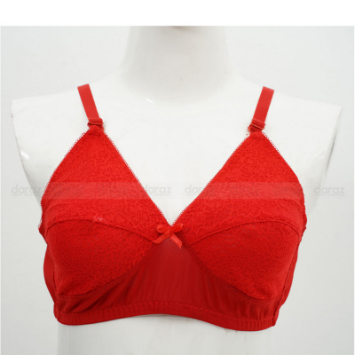 Picture of Premium Quality Women Clothing Net Soft Bra Comfortable Skin Friendly Stylish Bra