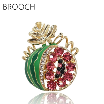 Picture of Beautiful Hijab Pin Collection For Girls and Women 