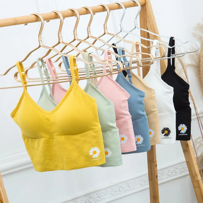 Picture of Body Shaper Tops Style Padded Bra Comfortable and Stylish Bra