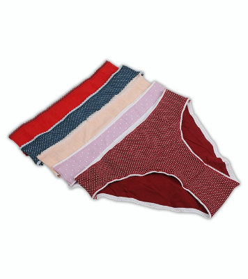 Buy Winner Womens High Cut Panty Online at Best Price