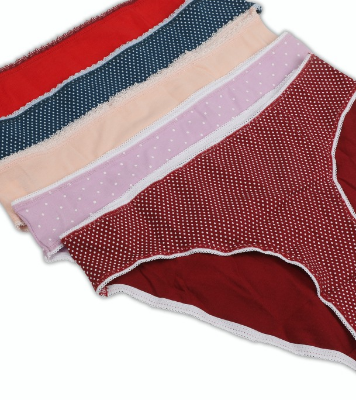 Buy Winner Womens High Cut Panty Online at Best Price