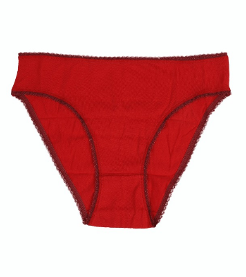 Buy Winner Womens High Cut Panty Online at Best Price