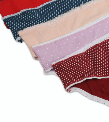 Buy Winner Womens High Cut Panty Online at Best Price