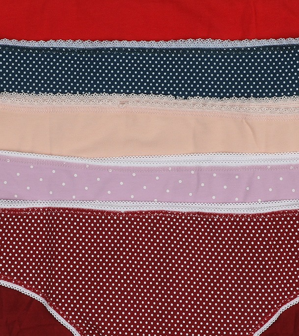 Buy Winner Womens High Cut Panty Online at Best Price