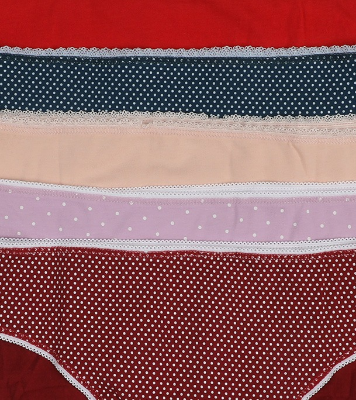 Buy Winner Womens High Cut Panty Online at Best Price