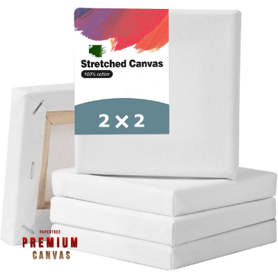 White Premium 2X2 Inch Canvas 5 Pcs Combo
