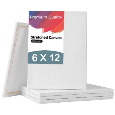 Picture of Papertree Premium Quality White Canvas 6X12 INCH