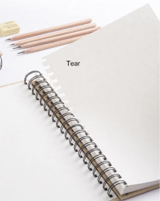 Picture of Papertree Sketch Art drawing book A5 Size