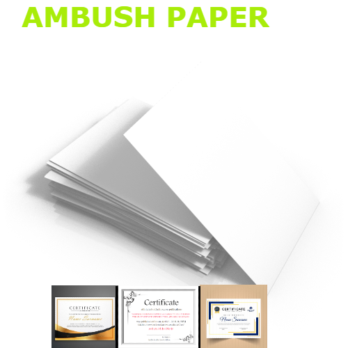 Picture of Paper tree white ambush certificate paper 300gsm A4,15 sheets