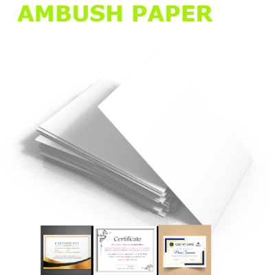 Picture of Paper tree white ambush certificate paper 300gsm A4,15 sheets