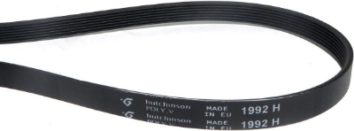 Picture of Washing Machine Belt, Washing Machine  Drive-Belt 8PH 1992