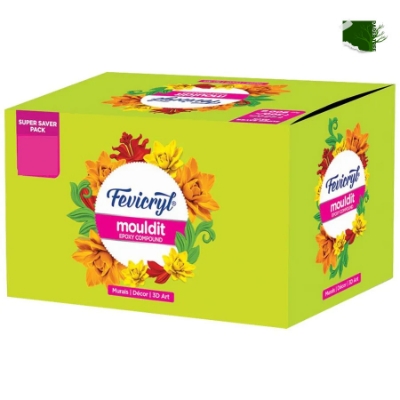 Picture of Fevicryl Mouldit Epoxy Compound Super Saver Pack 900g