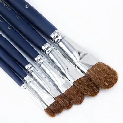 Picture of Deli W73895 Brush Set (360*90*12 mm/pcs, 6 Pcs)
