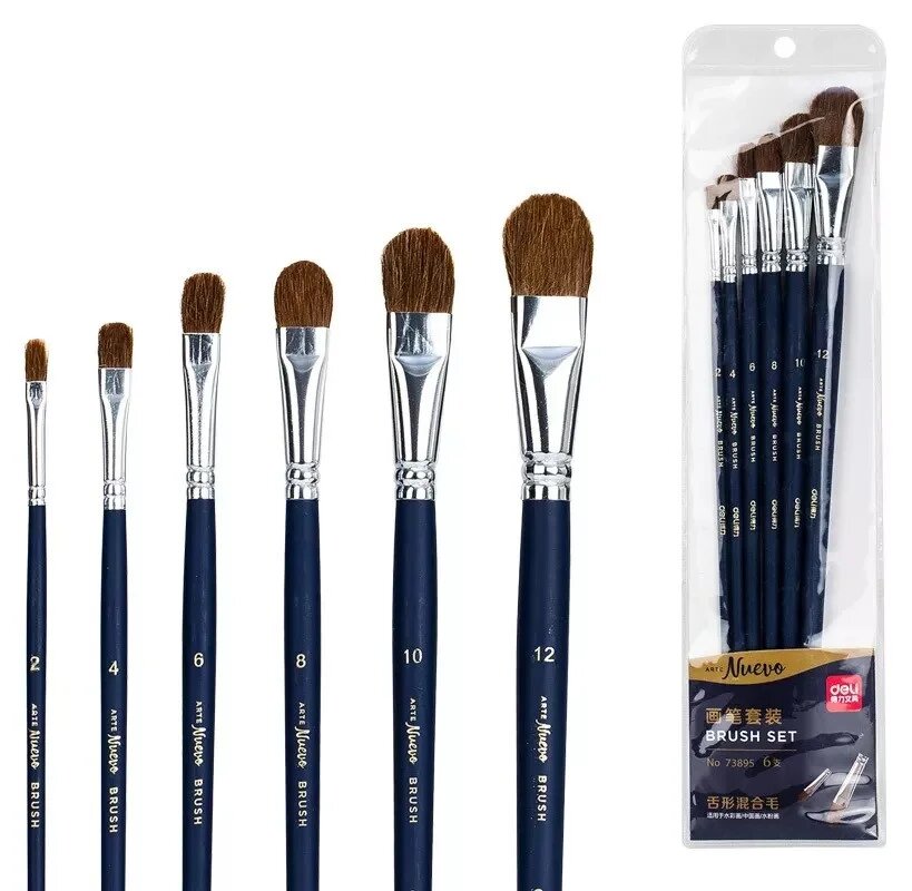 Picture of Deli W73895 Brush Set (360*90*12 mm/pcs, 6 Pcs)
