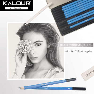 Picture of KALOUR Professional Sketching Drawing Pencils Set of 12 Tin Box