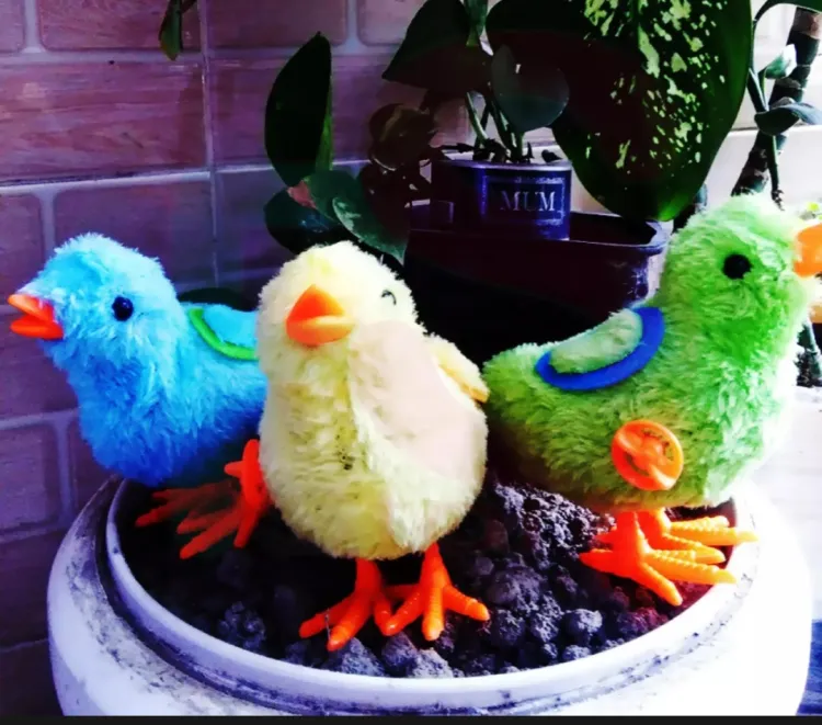 Buy Clockwise Key Type Toy Chicken Toy 1Pieces/Baby Cute Cartoon Chick Wind Up Walking Chicken Toys at Best Price in Bangladesh