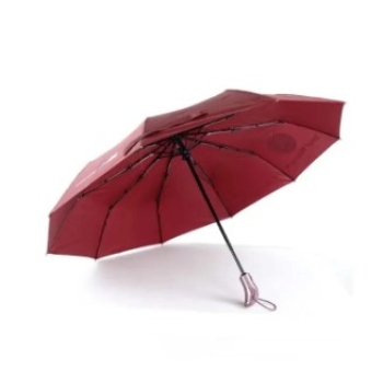 Picture of BMW Motorsport Auto Open Three Folding 10 Ribs UV Block Layer Dual Sunny and Rainy Umbrella