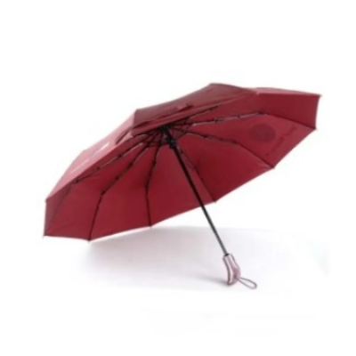 Picture of BMW Motorsport Auto Open Three Folding 10 Ribs UV Block Layer Dual Sunny and Rainy Umbrella