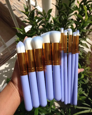 Buy Kabuki 10 Pieces Brush Set - Bluish  at Best Price In Bangladesh