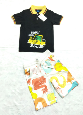 Buy Boy's Polo Shirt With Pant Set Online at Best Price