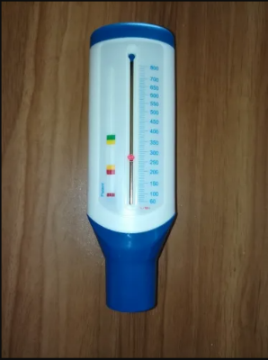 Picture of Adult / Children Portable Spirometer Peak Speed Meter Expiratory Peak Flow Meter Monitoring Lung Breathing Function