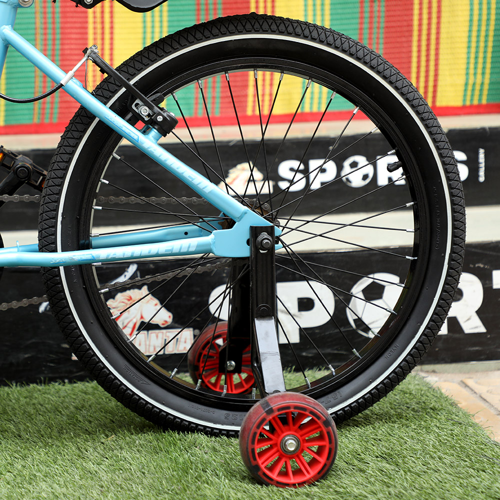 Buy ACEX Steel 1-Speed Tandem 20 M-401 Blue  Online