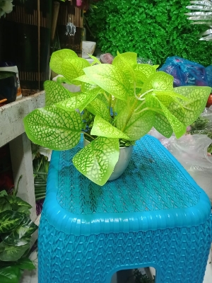 Picture of Artificial Plastic Plant Tree  -9