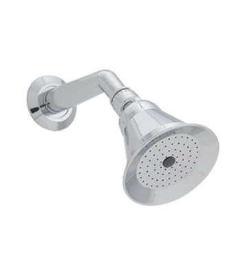 Buy Fancy Wall Shower CH at Best Price In Bangladesh