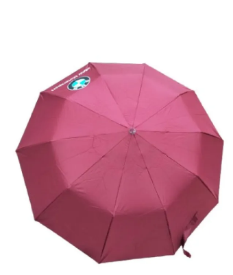 Buy BMW Umbrella 08 sikh ( Big size) Multifunctional auto open umbrella at Best Price In Bangladesh