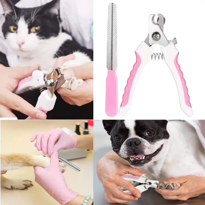 Buy Pet/Dog/ Cat Nail Cutter with Clipper-Multicolor at Best Price In Bangladesh