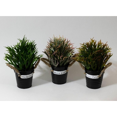 Picture of Black Home Cafe Tin Pot with Rope with Artificial Leaves Plant