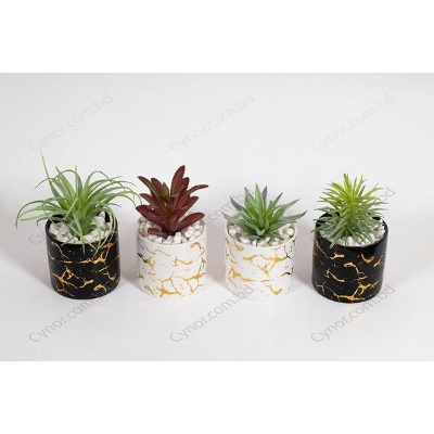 Picture of Moulticolour Ceramic Type Pot With Artificial Succulent