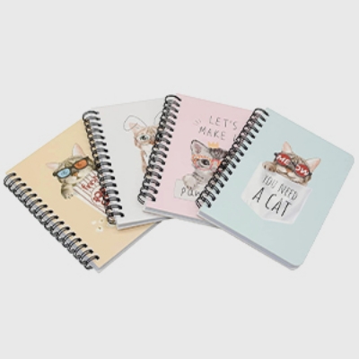 Picture for category Notebooks D