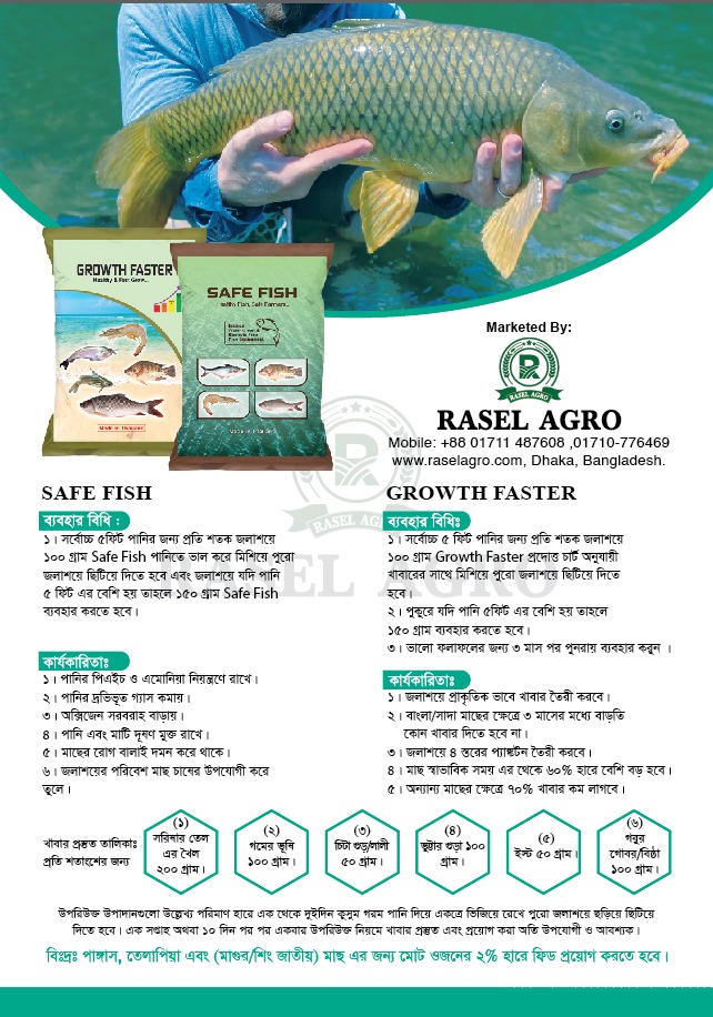 Picture of Safe Fish  (Fish Care)