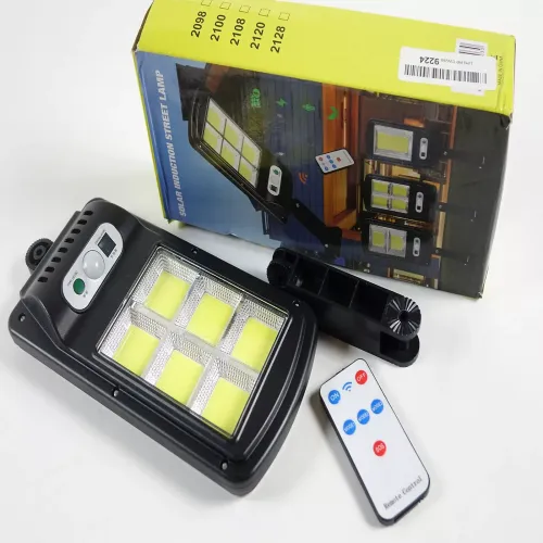 Picture of Solar Induction Street Lamp