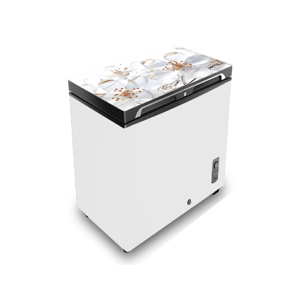 Buy VISION Glass Door Chest Freezer RE-250 Liter White Ice Flower at Best Price in Bangladesh