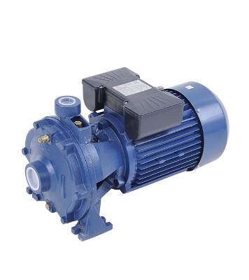 Buy RFL Water Pump Centrifugal 1½"X1"-2HP (XCm25/160A) Online at Best Price in Bangladesh